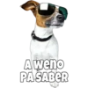 Perritos 22