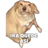 Perritos 23