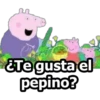 PEPPA PIG 14