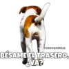 Perritos 25