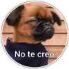 Perritos 2 23