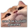 creo k se te olvidó
quererme