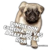 Perritos 27