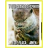 stickers graciosos 24