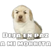 @ballolet88
DEJA EN PAZ
A MI MORRITA
