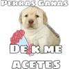 PERRAS GANAS
@ballolet88
DE K ME
ACETES