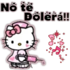 HELLO KITTY 21