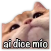 GATO CON FRASES PARA LIGAR 25