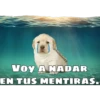 @ballolet88
VOY A NADAR
EN TUS MENTIRAS.