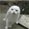 Заблудился
