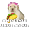 @ballolet88
AMOS POR
UNOS TACOS