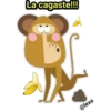 Monkey Business 14