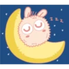 zzz C