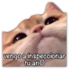 GATO CON FRASES PARA LIGAR 26