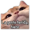 GATO CON FRASES PARA LIGAR 27