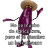 No se mucho
de agricultura,
pero si te siembro
un berenjenazo