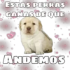 ESTAS PERRAS
GANAS DE QUE
@ballolet88
ANDEMOS
