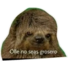 Olle no seas grosero