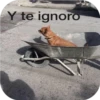 Y te ignoro