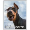Perritos 2 30