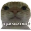 Ola yase fueron a dormirt