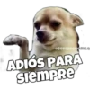 Perritos 30