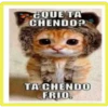 stickers graciosos 29