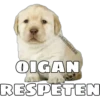 @ballolet88
Sup
OIGAN
RESPETEN