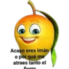 Acaso eres imán
o por qué me
atraes tanto el
fiorro