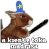 @BOSHADDER
a kien le toka
madrisa