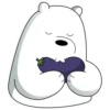 Polar 2 5