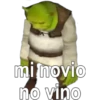 mi novio
no vino