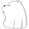 Polar 2 8