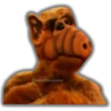 ALF (1986) 8
