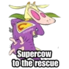 @raffadilaz
Supercow
to the rescue