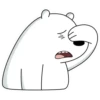Polar 2 12