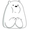 Polar 2 13