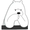 Polar 2 14