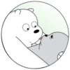 Polar 2 15