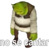 no se cantar