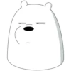 Polar 2 17