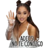 Ariana Grande 11