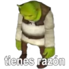 tienes razón