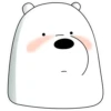 Polar 2 21