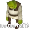 no me bañé