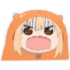 umaru 20