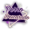 Perro
Descarado