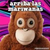 arriba las
mariwanas
@BOSHADDER