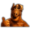 ALF (1986) 23