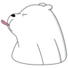 Polar 2 28